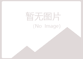 岱山县梦碎咨询有限公司